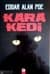 Kara Kedi