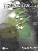 Yaşam Kaçtı Gözüme