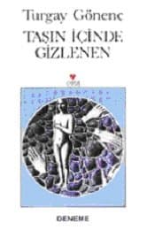 Taşın İçinde Gizlenen