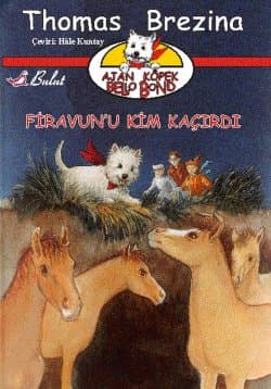 Firavun`u Kim Kaçırdı