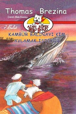 Kambur Balinayı Kim Avlamak İstiyor