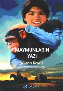 Maymunların Yazı