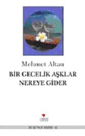 Bir Gecelik Aşklar Nereye Gider