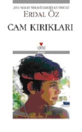 Cam Kırıkları
