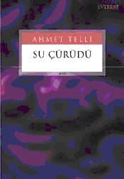 Su Çürüdü