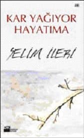 Kar Yağıyor Hayatıma