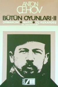 Bütün Oyunları 2