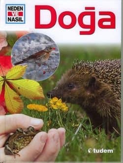 Neden Ve Nasıl Doğa