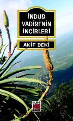 İndus Vadisi'nin İncirleri