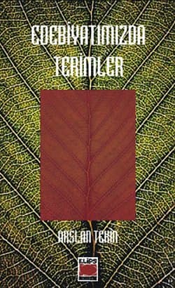 Edebiyatımızda Terimler