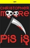 Pis İş