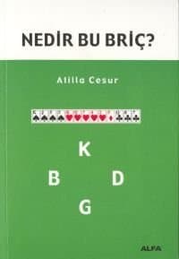 Nedir Bu Briç?