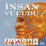 İnsan Vücudu