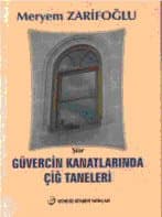 Güvercin Kanatlarında Çiğ Taneleri