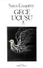 Gece Uçuşu