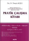 Pratik Çalışma Kitabı