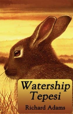 Watership Tepesi