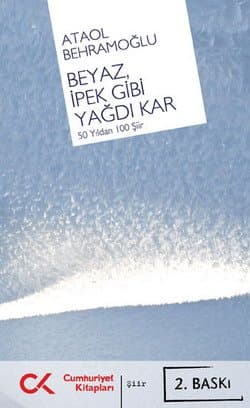 Beyaz İpek Gibi Yağdı Kar