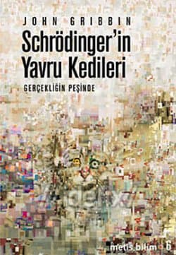Schrödinger'in Yavru Kedileri - Gerçekliğin Peşinde