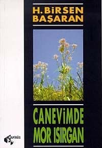 Canevimde Mor Isırgan