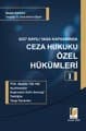 5237 Sayılı Yasa Kapsamında Ceza Hukuku Özel Hükümleri 1