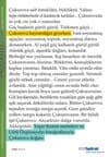 "Çukurova Bayramlığın Giyerken"