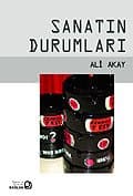 Sanatın Durumları