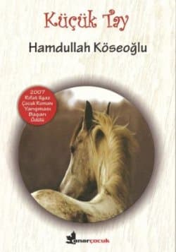 Küçük Tay