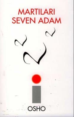 Martıları Seven Adam