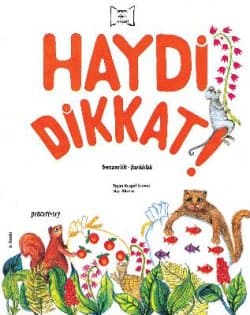 Haydi Dikkat