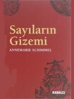 Sayıların Gizemi