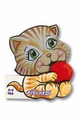 Pisi Kedi