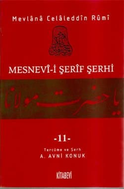 Mesnevi-i Şerif Şerhi 11