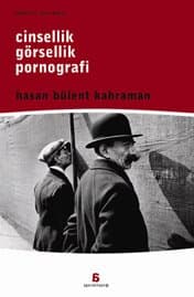Cinsellik, Görsellik, Pornografi