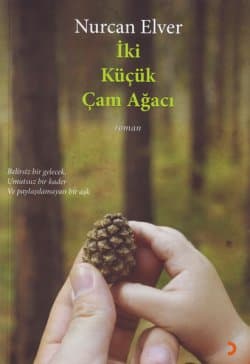 İki Küçük Çam Ağacı