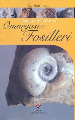 Türkiye`nin Önemli Omurgasız Fosilleri