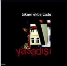 Yasadışı