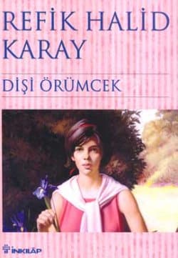 Dişi Örümcek