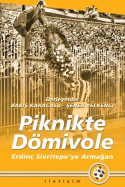 Piknikte Dömivole