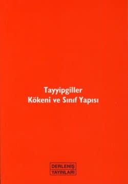 Tayyipgiller Kökeni ve Sınıf Yapısı