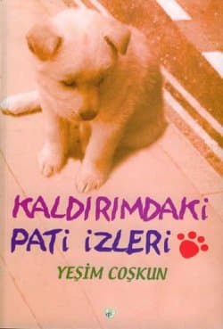 Kaldırımdaki Pati İzleri