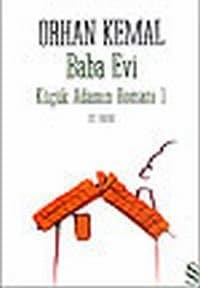 Baba Evi