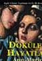 Dökülen Hayatlar