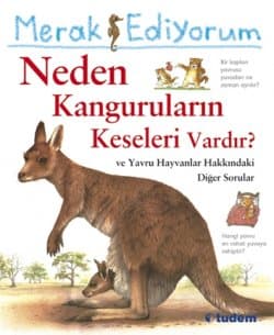 Merak Ediyorum Neden Kanguruların Keseleri Vardır?