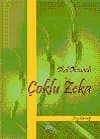 Okul Öncesinde Çoklu Zeka
