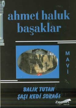 Balık Tutan Şaşı Kedi Sokağı / Mavi