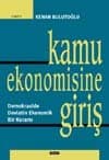 Kamu Ekonomisine Giriş