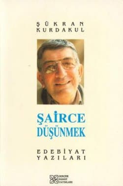 Şairce Düşünmek