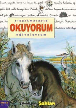Şahlan / Çıkartmalarla Okuyorum Eğleniyorum
