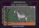 Boz Karakaçan